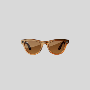 Smart Glasses